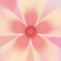 iPhone Blurry Flowers Glass Case